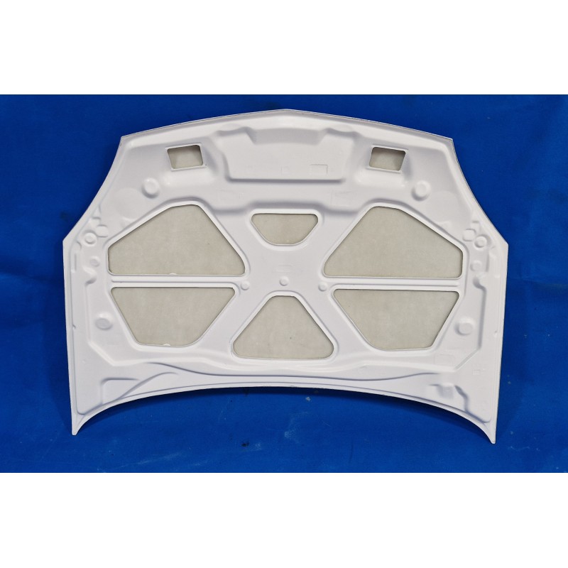 Clio 2 Phase 2 bonnet